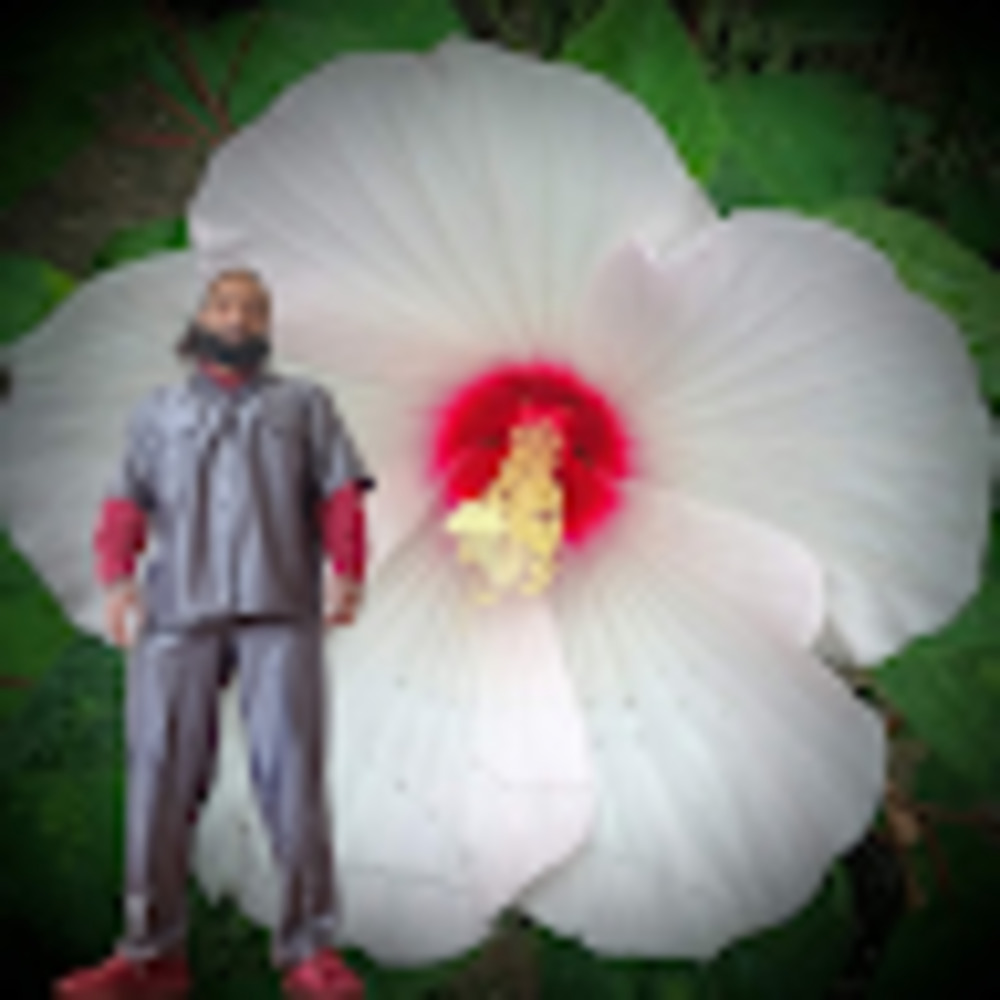 Meet your Posher, Selemani